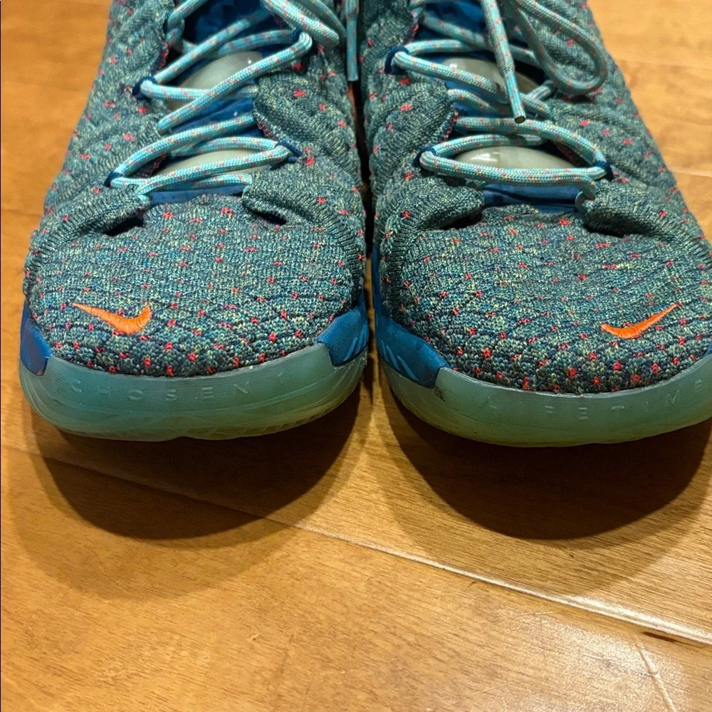 Nike Lebron gently used